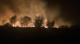 Los agricultores atribuyen la propagación del fuego al abandono del campo y de los cultivos