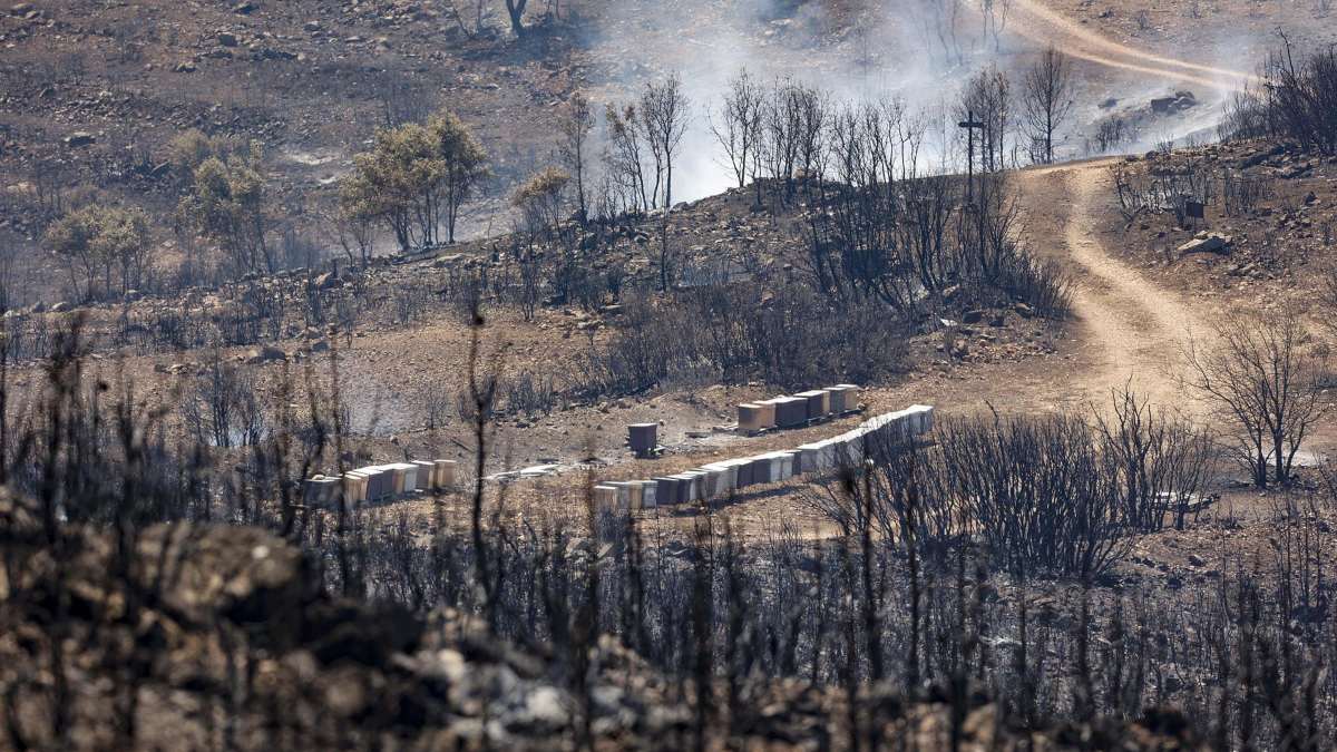 El incendio de Bejís evoluciona favorablemente, pero el viento amenaza con reavivar las llamas