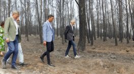 El Gobierno declarará zona catastrófica los territorios afectados por los grandes incendios