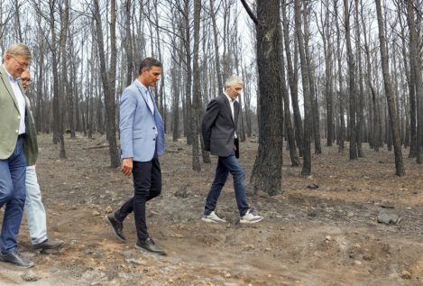 El Gobierno declarará zona catastrófica los territorios afectados por los grandes incendios