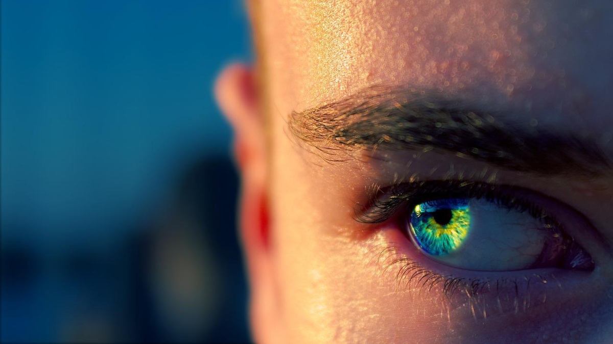 Lo que tenemos delante y el ojo no advierte: hay luz más allá de lo visible