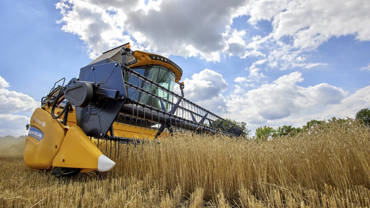 Ucrania asegura que Rusia le ha robado entre 500.000 y 800.000 toneladas de grano