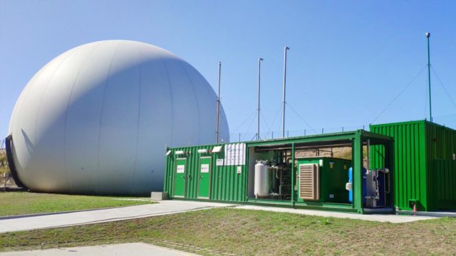 Los gases renovables empiezan a despegar en España: el biogás se dispara un 63% en el año