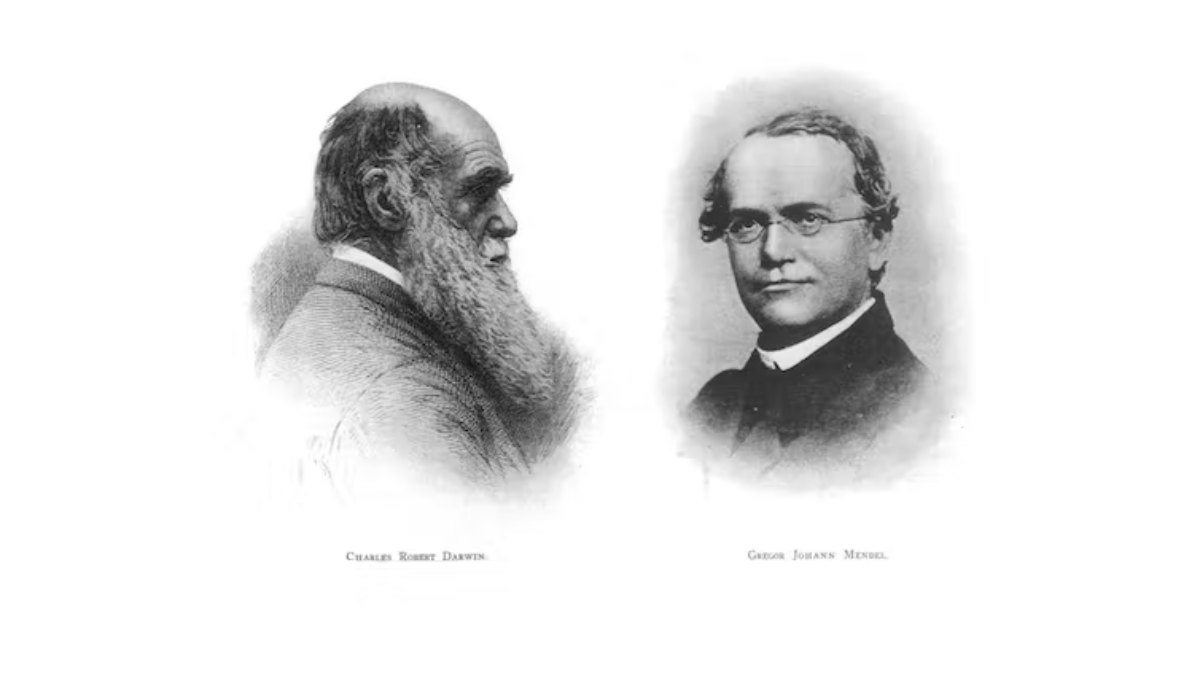 Mendel y Darwin: una relación enigmática