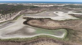 La última laguna de Doñana se seca