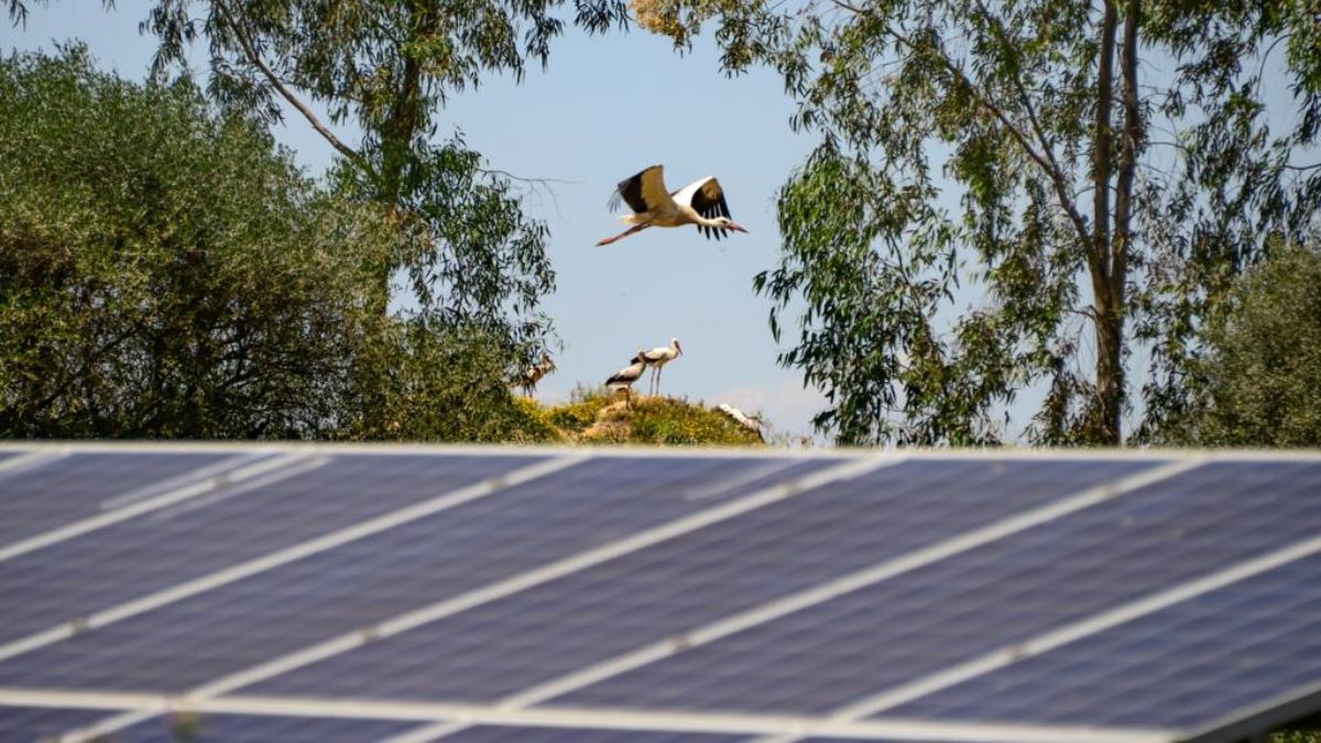 Los componentes de los paneles fotovoltaicos permiten reciclarlos al acabar su vida útil. 