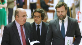 Vox lleva su polémico protocolo «provida» a Asturias y el PP adelanta que no lo apoyará