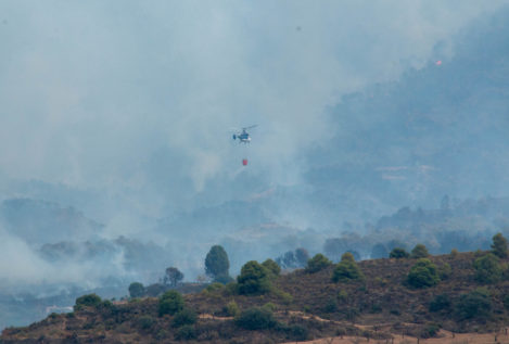 El incendio de Granada afecta a 5.000 hectáreas
