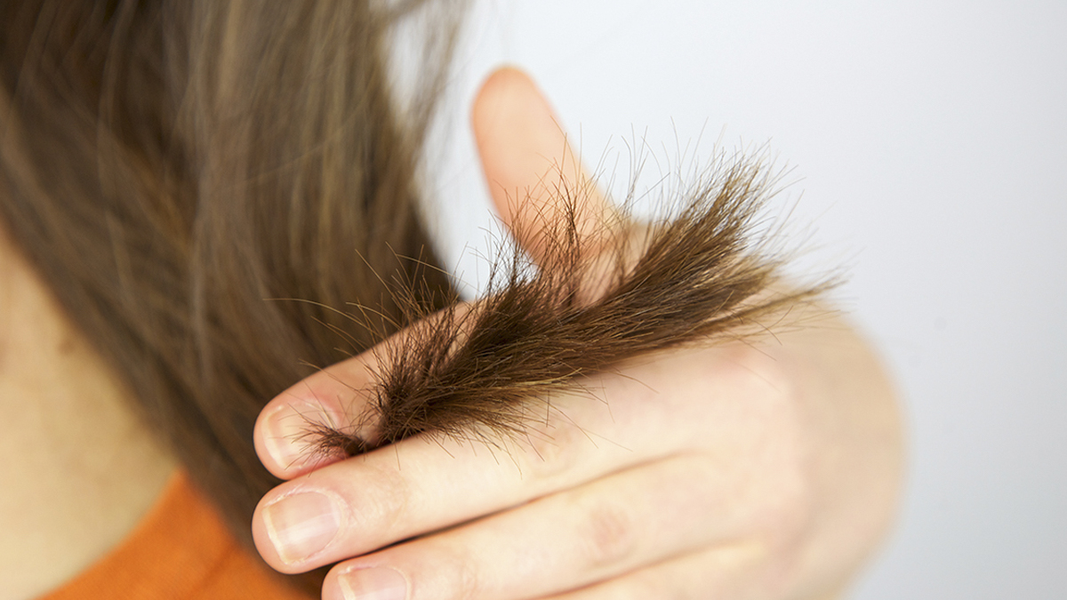 Cabello con puntas abiertas. (Fuente: Nezeni Cosmetics)