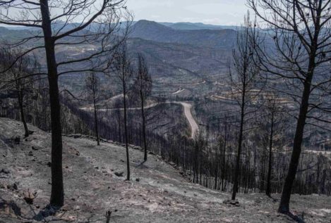 España suma 54 grandes incendios forestales en 2022, la cifra más alta en diez años