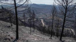 España suma 54 grandes incendios forestales en 2022, la cifra más alta en diez años