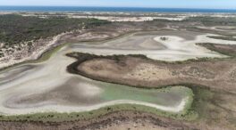 La laguna permanente más grande de Doñana se seca por completo por tercera vez desde que se tienen registros