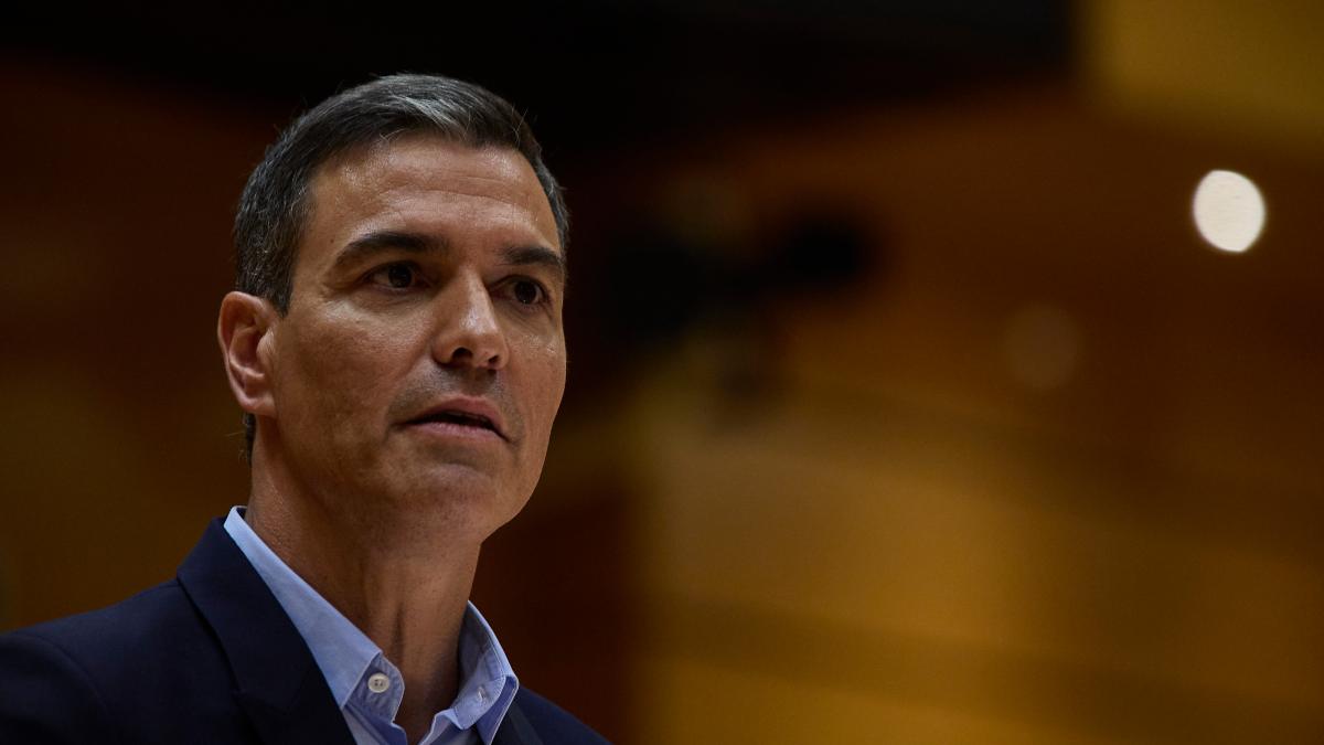 Sánchez pide al país prepararse «para lo peor» por el gas pero excluye medidas «dramáticas»