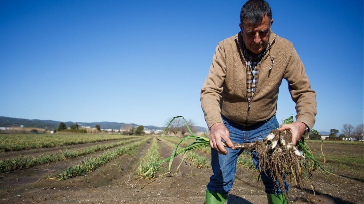 El campo español reclama ayudas al Gobierno ante la crisis y la sequía: «Somos un sector debilitado»