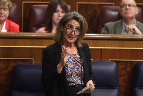Ribera aún no ha adjudicado el 9% aprobado de su Perte 'verde' tras un año de su lanzamiento