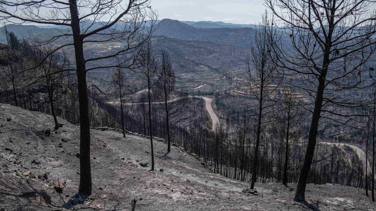España suma 54 grandes incendios forestales en 2022, la cifra más alta en diez años