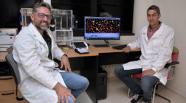 Un equipo español identifica los genes cruciales en las infecciones respiratorias por covid