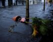 El huracán ‘Ian’ deja a dos millones de personas sin electricidad en Florida