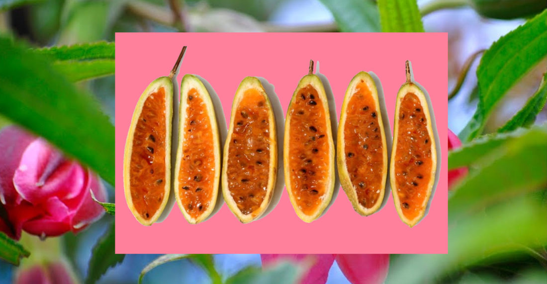 Diez frutas venezolanas que probablemente no conoces