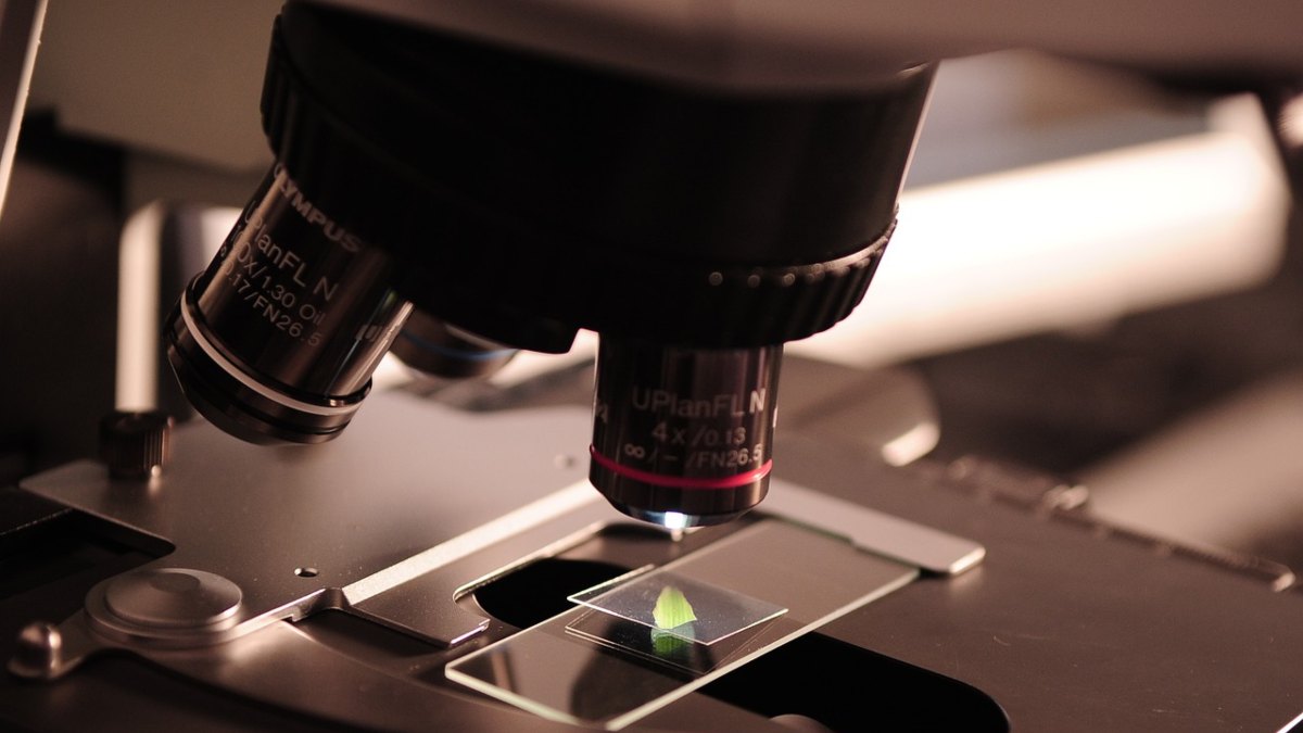 Por qué la temporalidad en el sistema español de ciencia es un problema