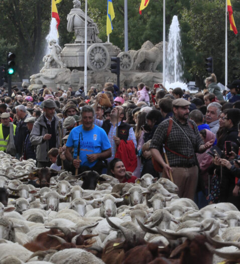 La XXIX Fiesta de la Trashumancia, en imágenes