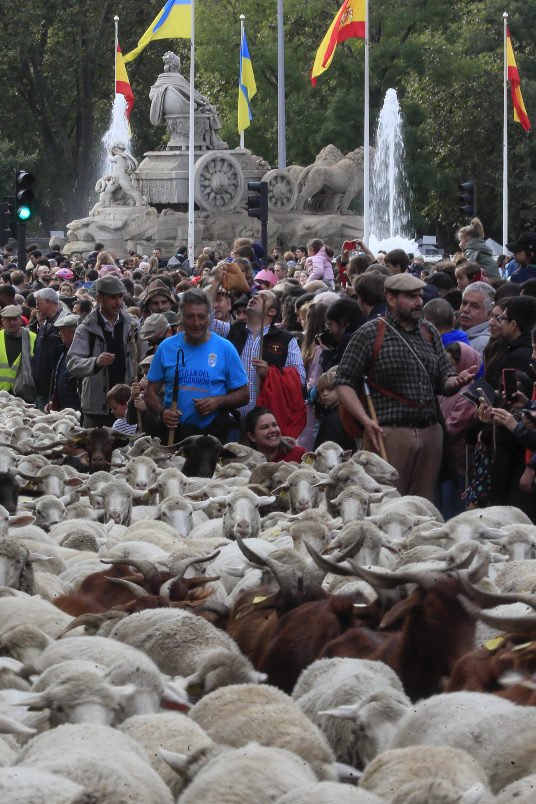 La XXIX Fiesta de la Trashumancia, en imágenes