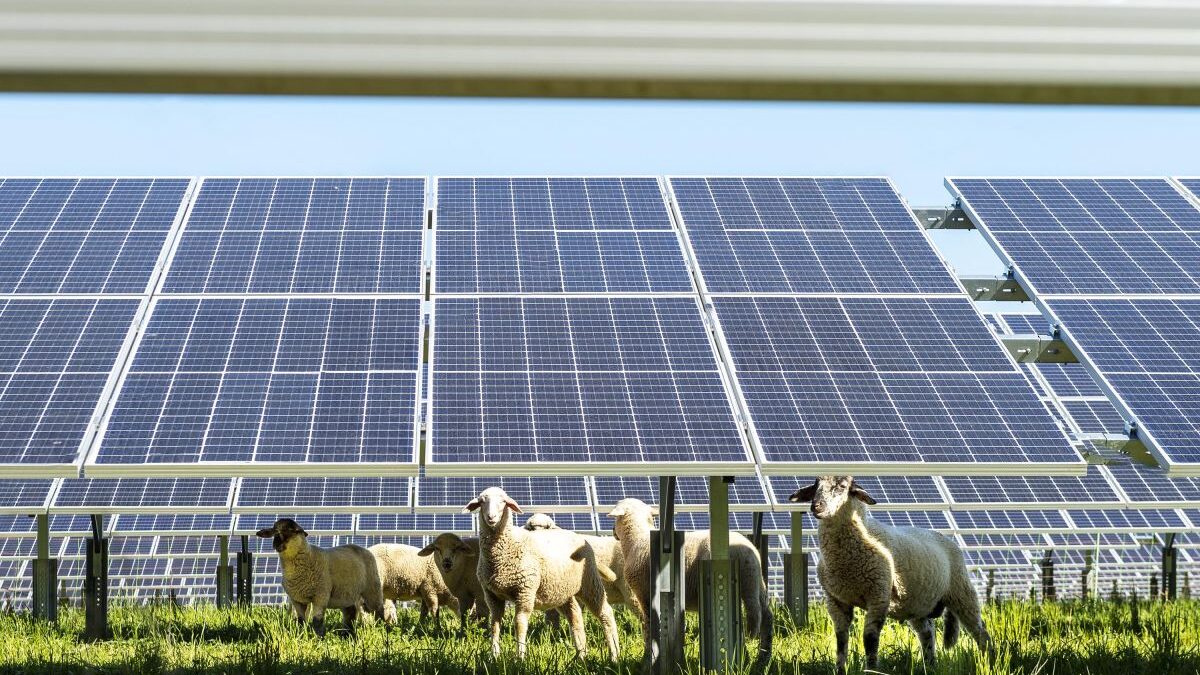 UNEF destaca que la fotovoltaica puede permitir «atraer nuevas industrias al país»