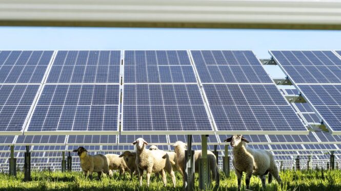 UNEF destaca que la fotovoltaica puede permitir «atraer nuevas industrias al país»