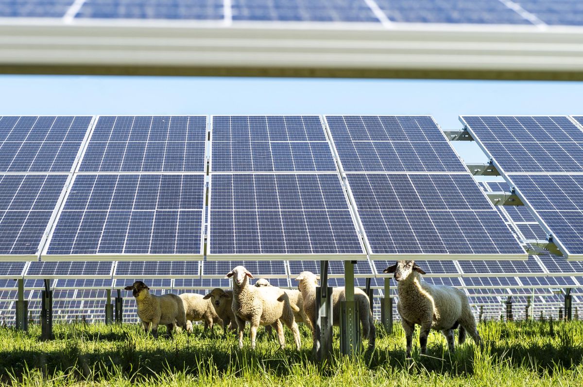UNEF destaca que la fotovoltaica puede permitir «atraer nuevas industrias al país»