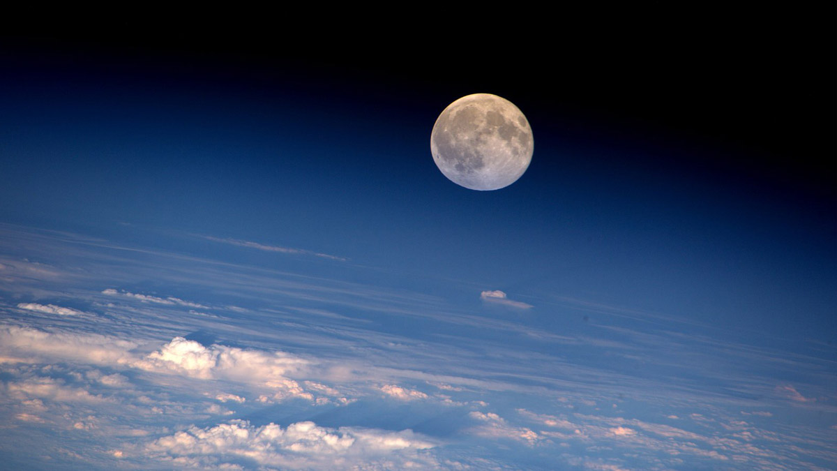 Científicos australianos quieren cultivar plantas en la Luna en 2025