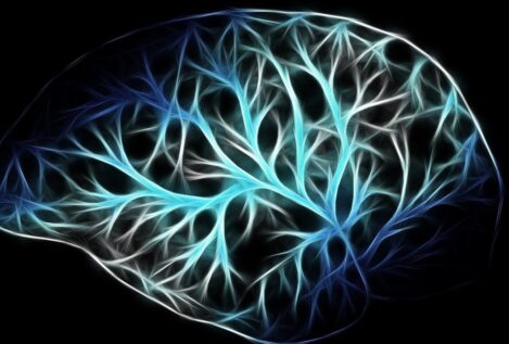Los nuevos mapas celulares detallados de todo el cerebro desvelan qué nos hace humanos