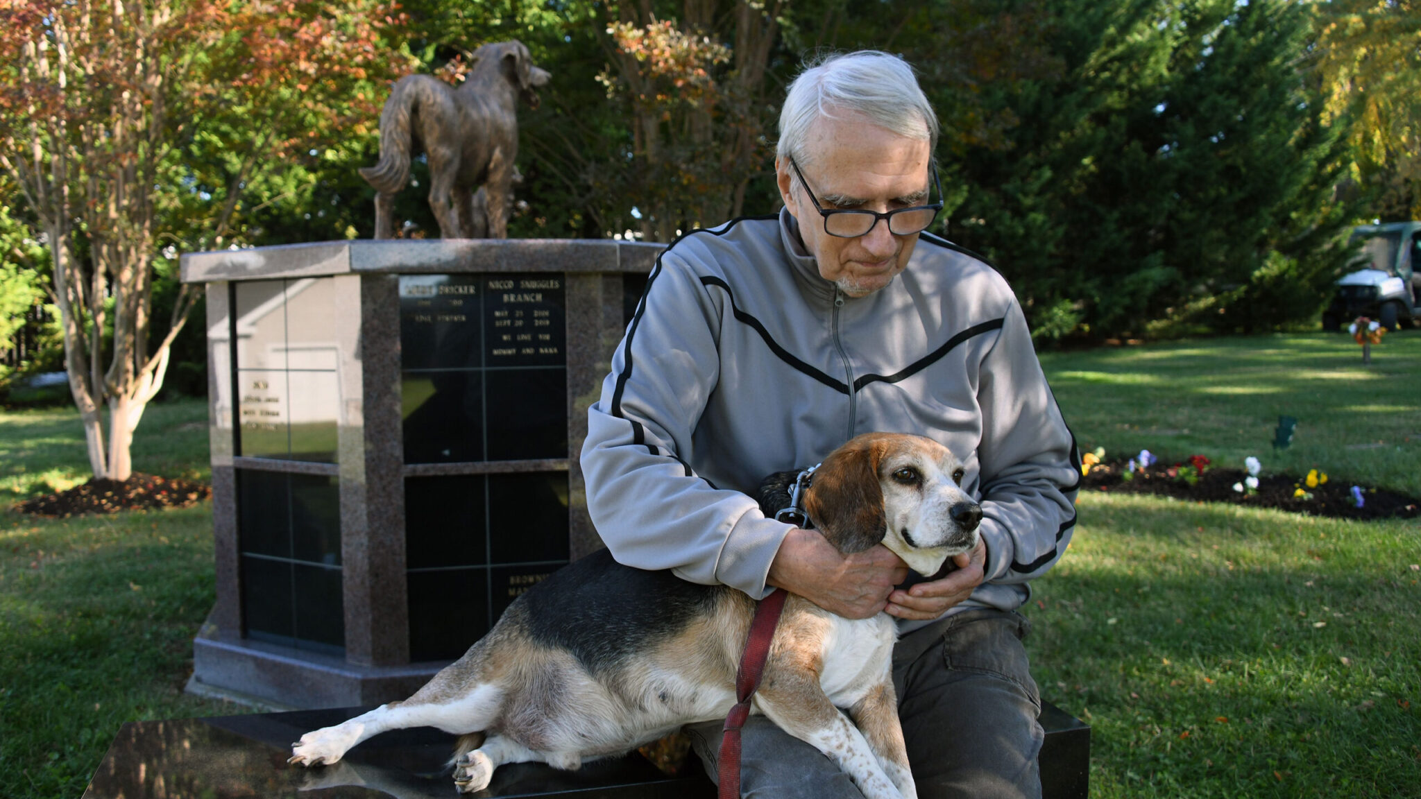 hombre-mayor-beneficios-salud-tener-perro