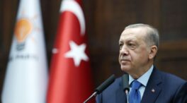 Turquía castigará con penas de cárcel de hasta tres años la difusión de «noticias falsas»