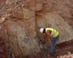 Descubren un yacimiento con fósiles de hace 200 millones de años en Algeciras