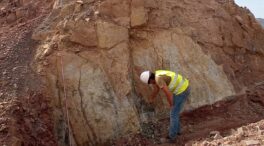 Descubren un yacimiento con fósiles de hace 200 millones de años en Algeciras