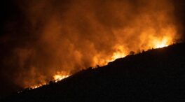 Extinguido un incendio en Iznalloz (Granada) que ha calcinado 130 hectáreas