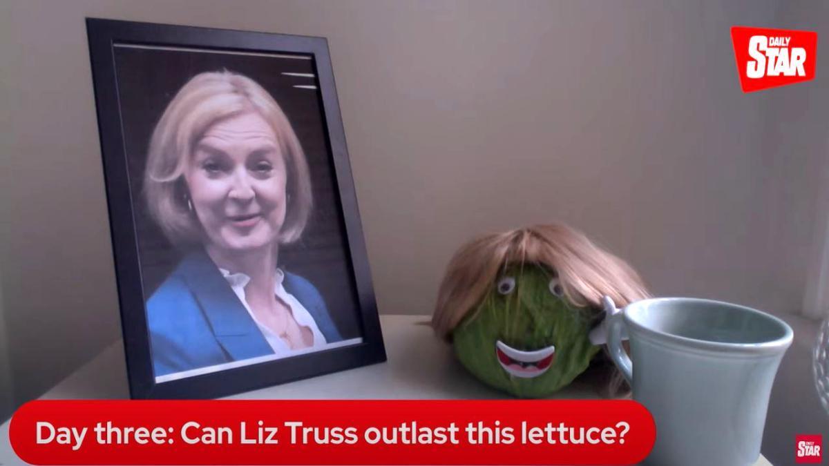 (VÍDEO) ¿Quién durará más en el cargo, Liz Truss o una lechuga? El insólito y viral experimento de un medio británico