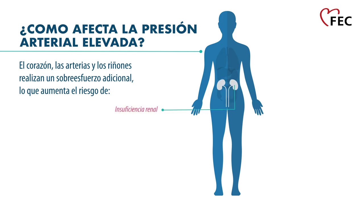 Recomiendan medir la presión arterial en la aorta a personas con  hipertensión resistente