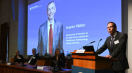 Svante Pääbo, Nobel de Medicina 2022 por sus descubrimientos sobre la evolución humana