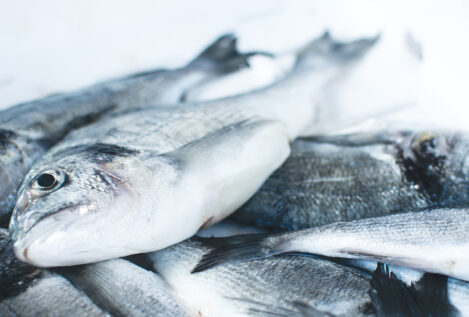Las especies de pescado más seguras por sus bajos niveles de mercurio