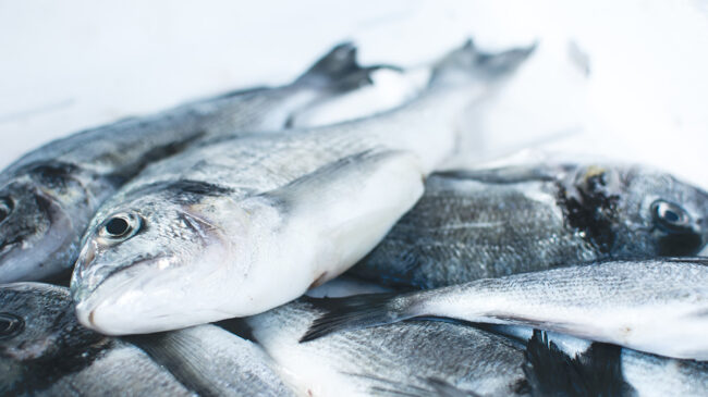Las especies de pescado más seguras por sus bajos niveles de mercurio