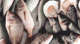 Alerta sanitaria: estas son las especies de pescado con menos mercurio (tóxico)