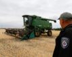 Rusia acepta retomar el acuerdo para exportar cereal desde Ucrania