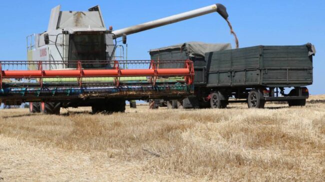 Rusia reanuda el acuerdo de exportación de cereales desde Ucrania tras lograr "garantías por escrito"