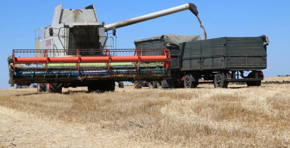 Rusia reanuda el acuerdo de exportación de cereales desde Ucrania tras lograr «garantías por escrito»