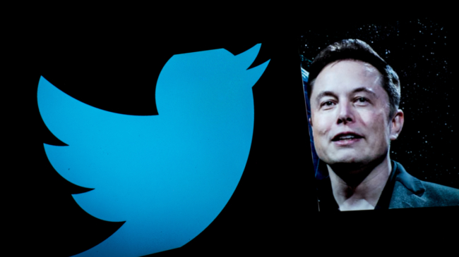 Musk lanza encuesta en Twitter sobre «amnistía general» de cuentas suspendidas