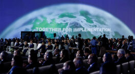 Las cuatro grandes revoluciones medioambientales prometidas en la COP27