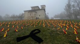 Vox coloca 379 banderas españolas en Vitoria para recordar los crímenes de ETA sin resolver