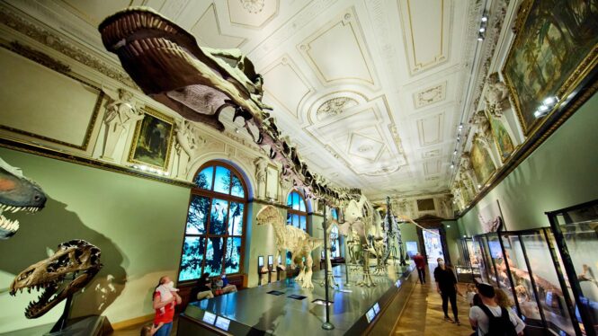 Varios activistas se pegan a un dinosaurio de un museo de ciencias naturales en Viena