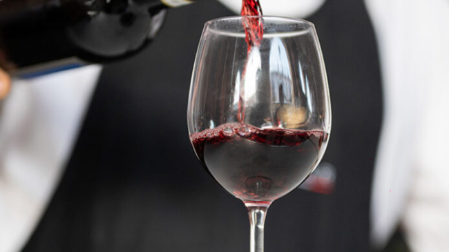 Se presenta en sociedad la nueva marca Vinos Sierra de la Culebra
